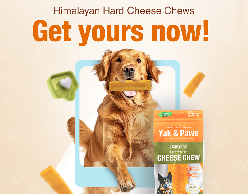 Social-media-Content